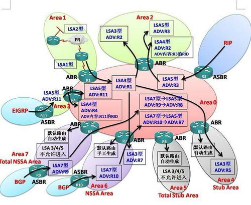 網絡工程師面試寶典 路由交換·降龍十八掌內功心法（中集）